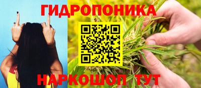 2c-b Нарткала
