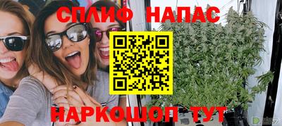 ПСИЛОЦИБИНОВЫЕ ГРИБЫ Нальчик