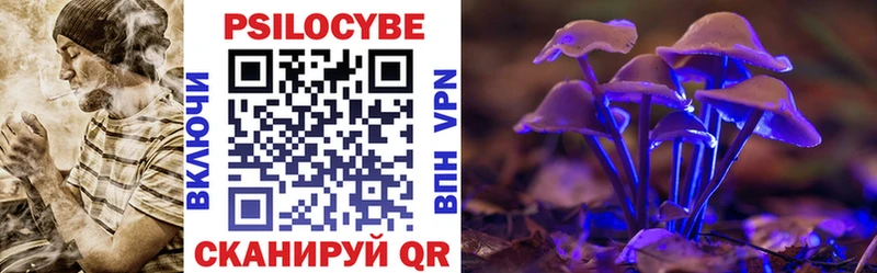 Псилоцибиновые грибы прущие грибы  Сальск 