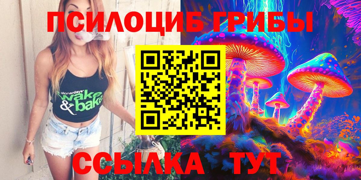 Сальск  Галлюциногенные грибы Cubensis  Вход с VPN 