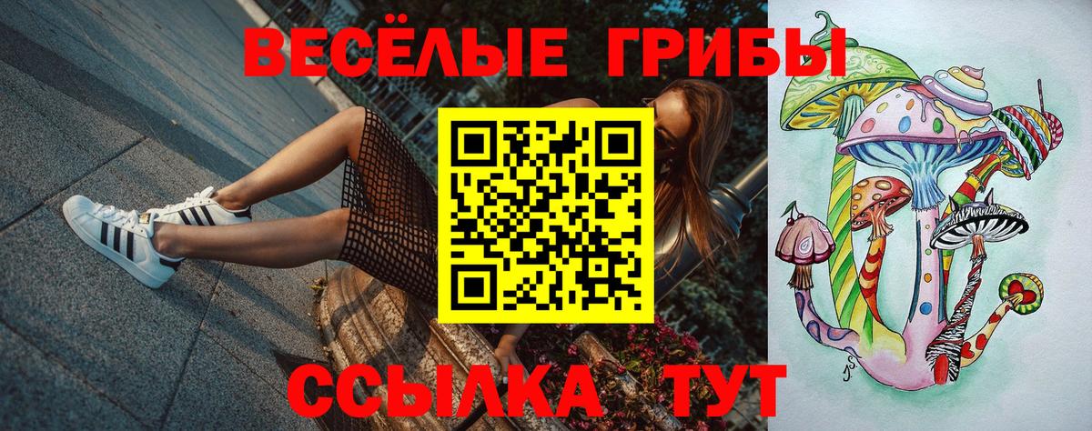 Галлюциногенные грибы ЛСД Сальск