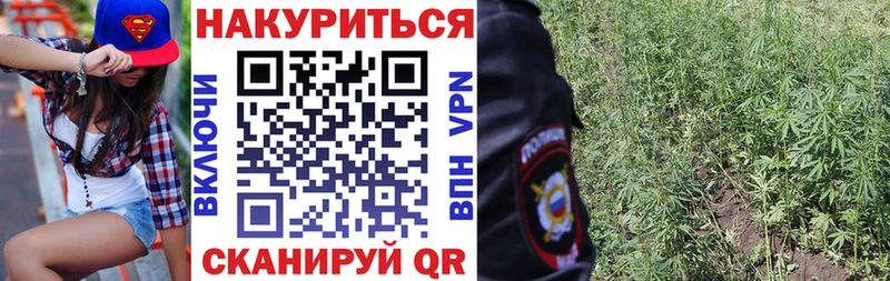 OMG рабочий сайт  Сальск  Конопля OG Kush 